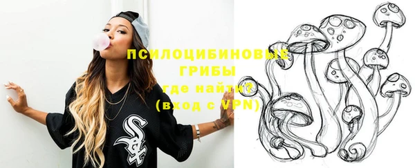 шишки Алзамай