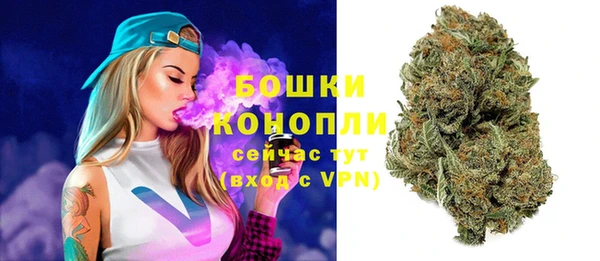 шишки Алзамай